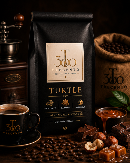 Turtle - coffee