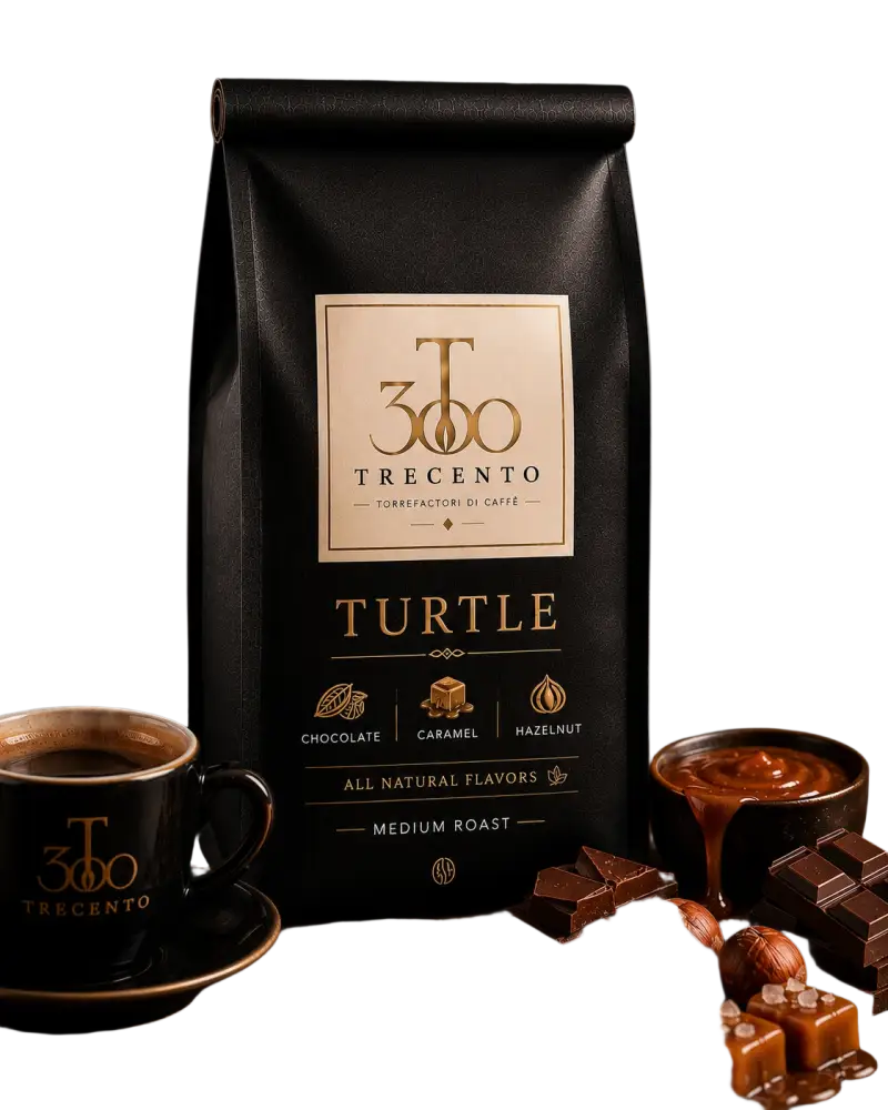 Turtle - coffee
